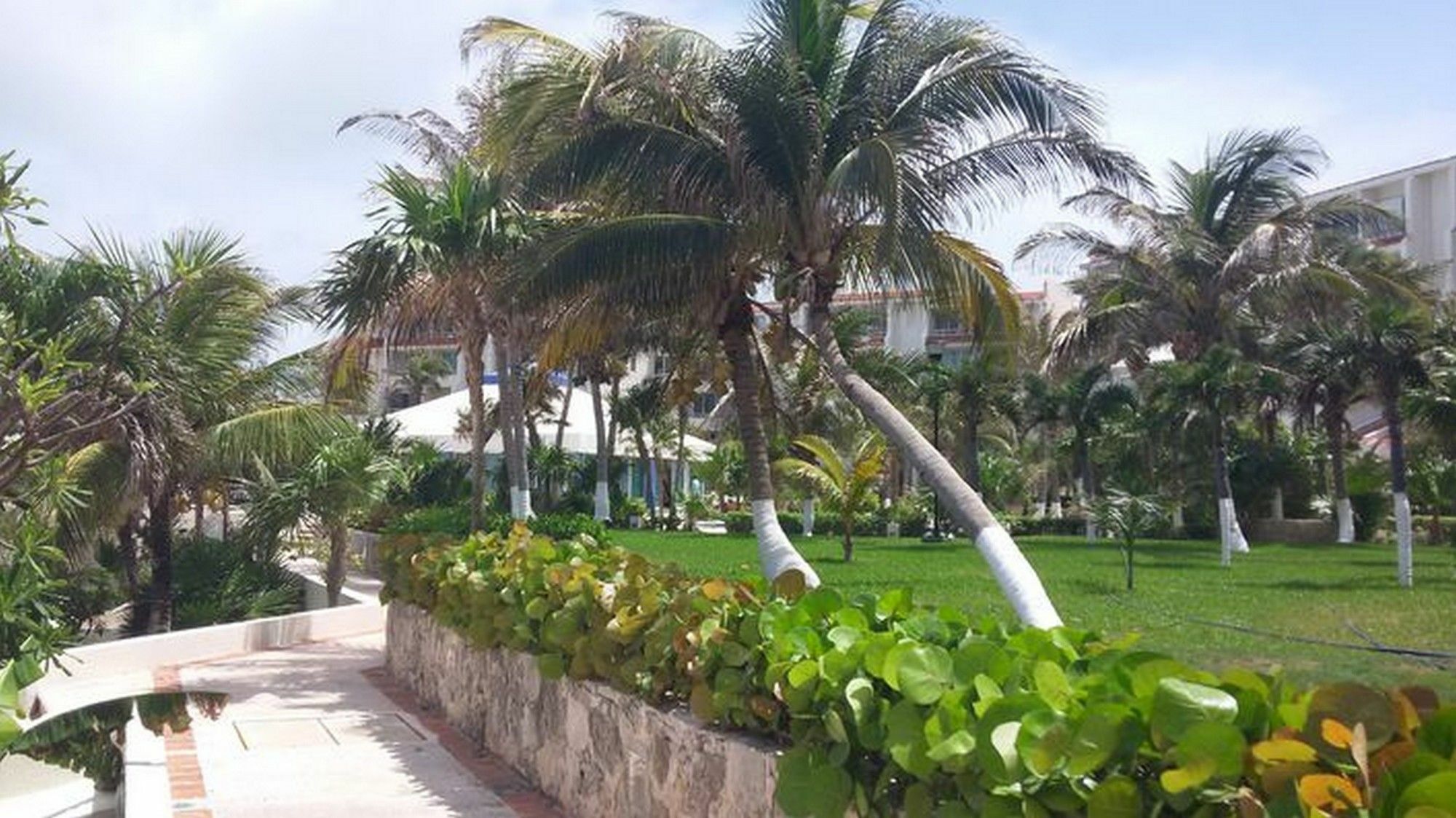 Solymar Condos 2401 - 2301 - 2501 Cancún Exterior foto